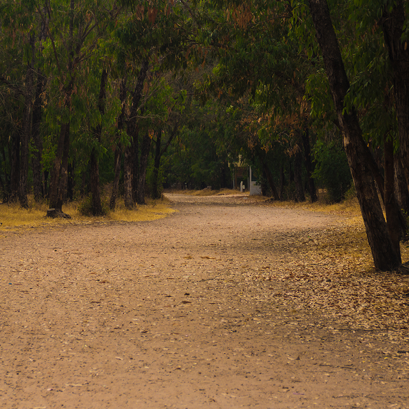 Afternoon - Relaxation in the Bouskoura Forest