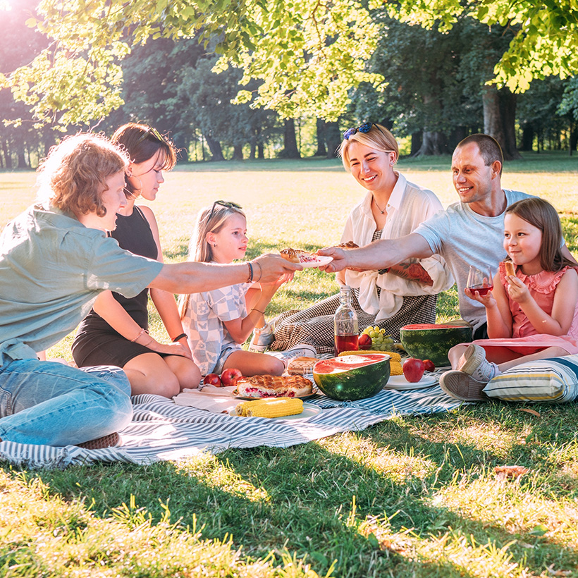 Lunch - Picnic or Family Restaurant