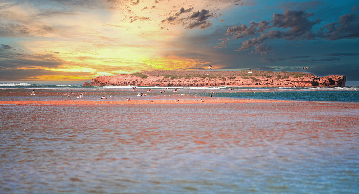 The Beach