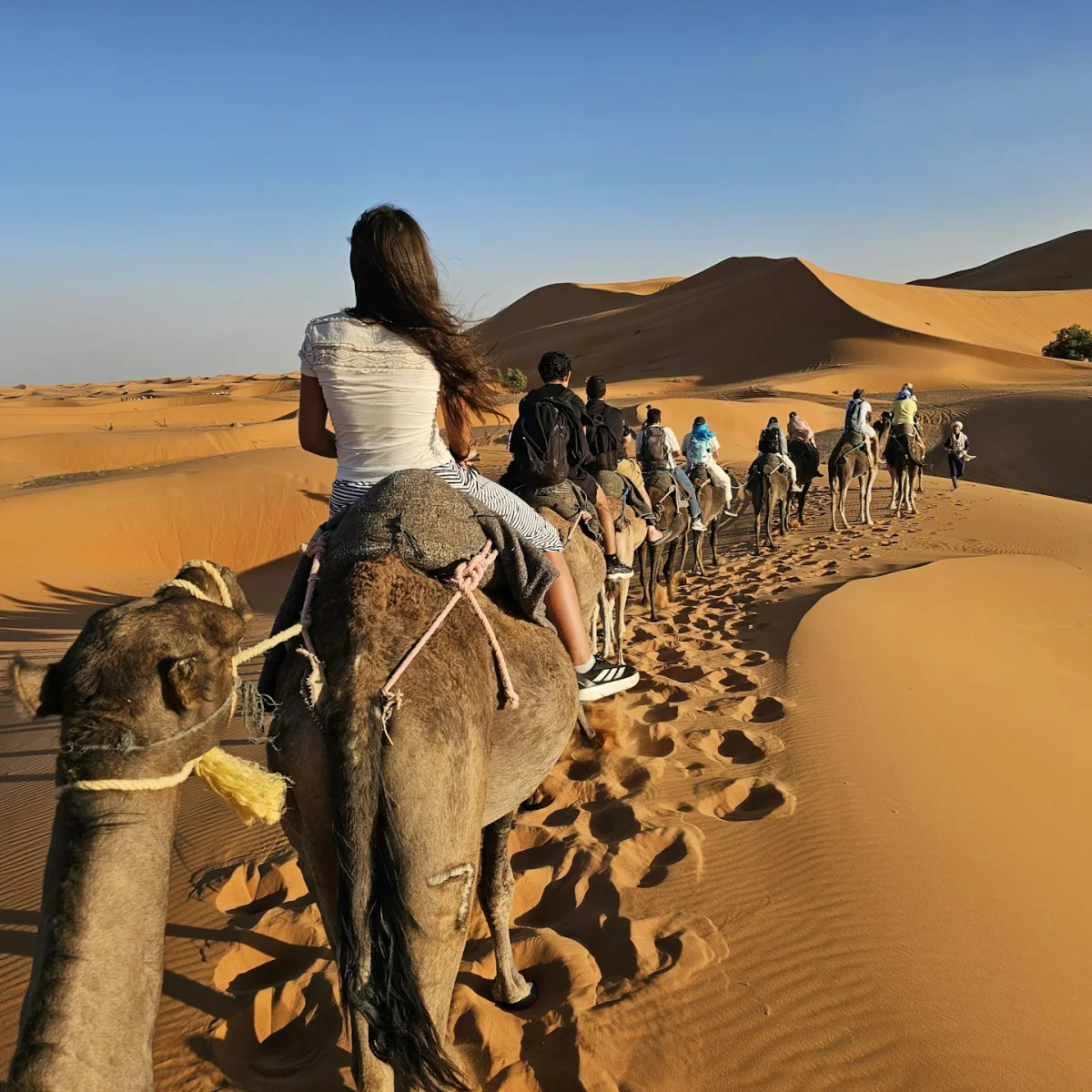 Merzouga
