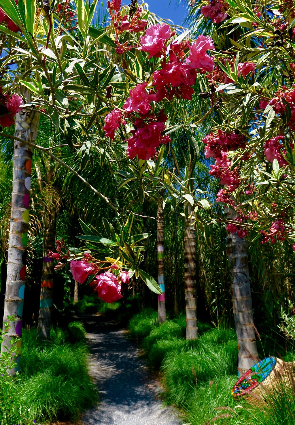 ANIMA Andre Heller Garden photo 4