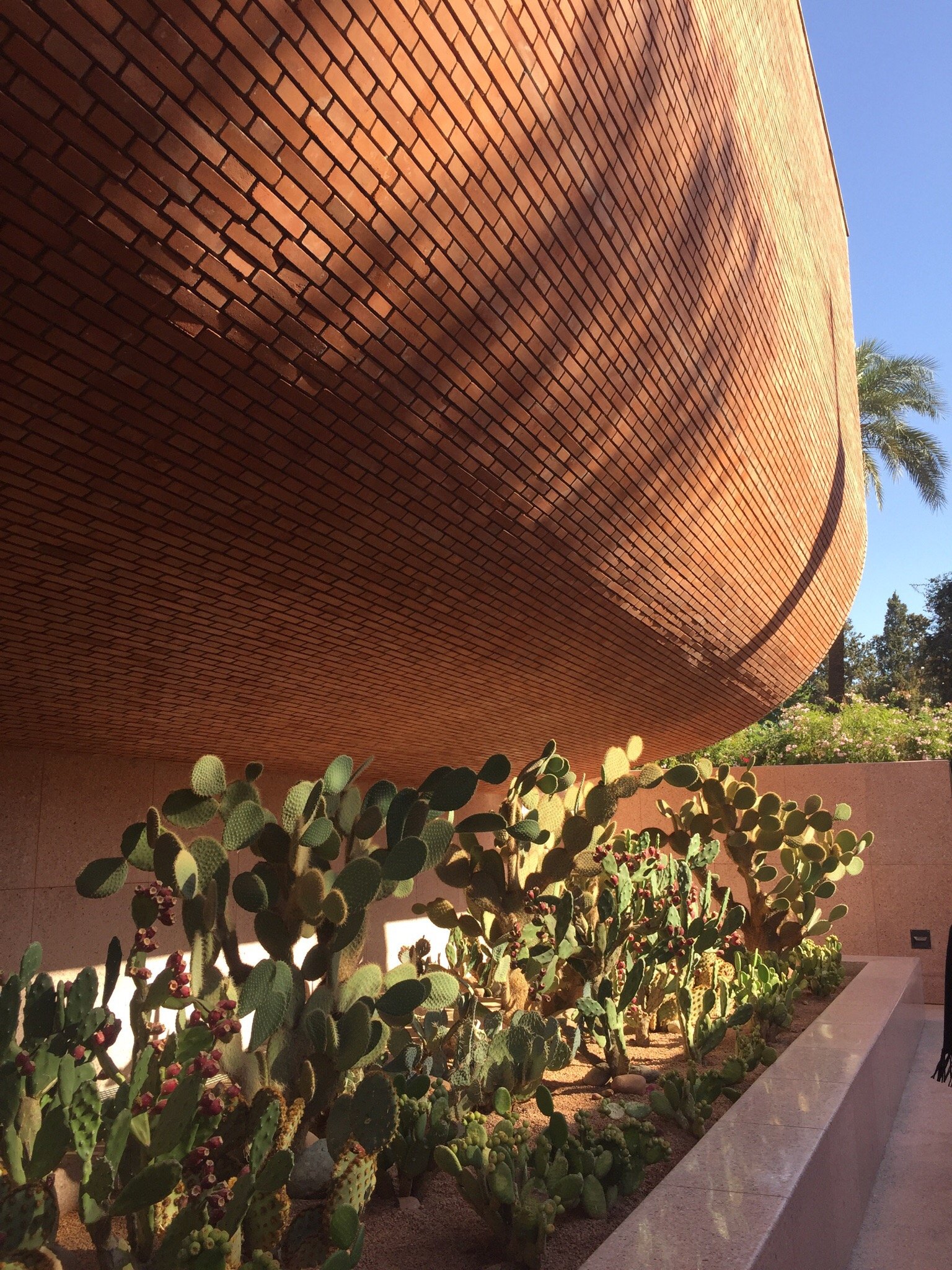 Musee Yves Saint Laurent Marrakech photo 2