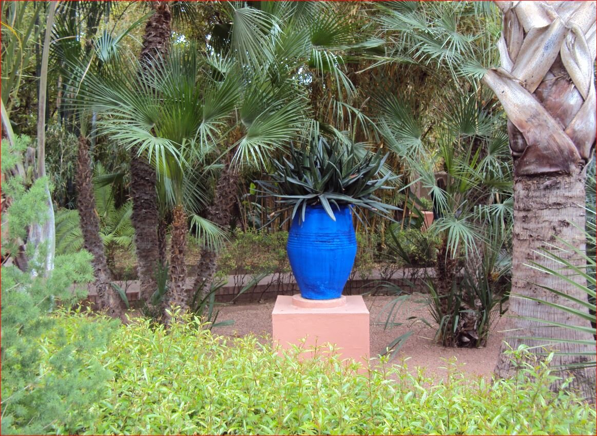 Musee Yves Saint Laurent Marrakech photo 3