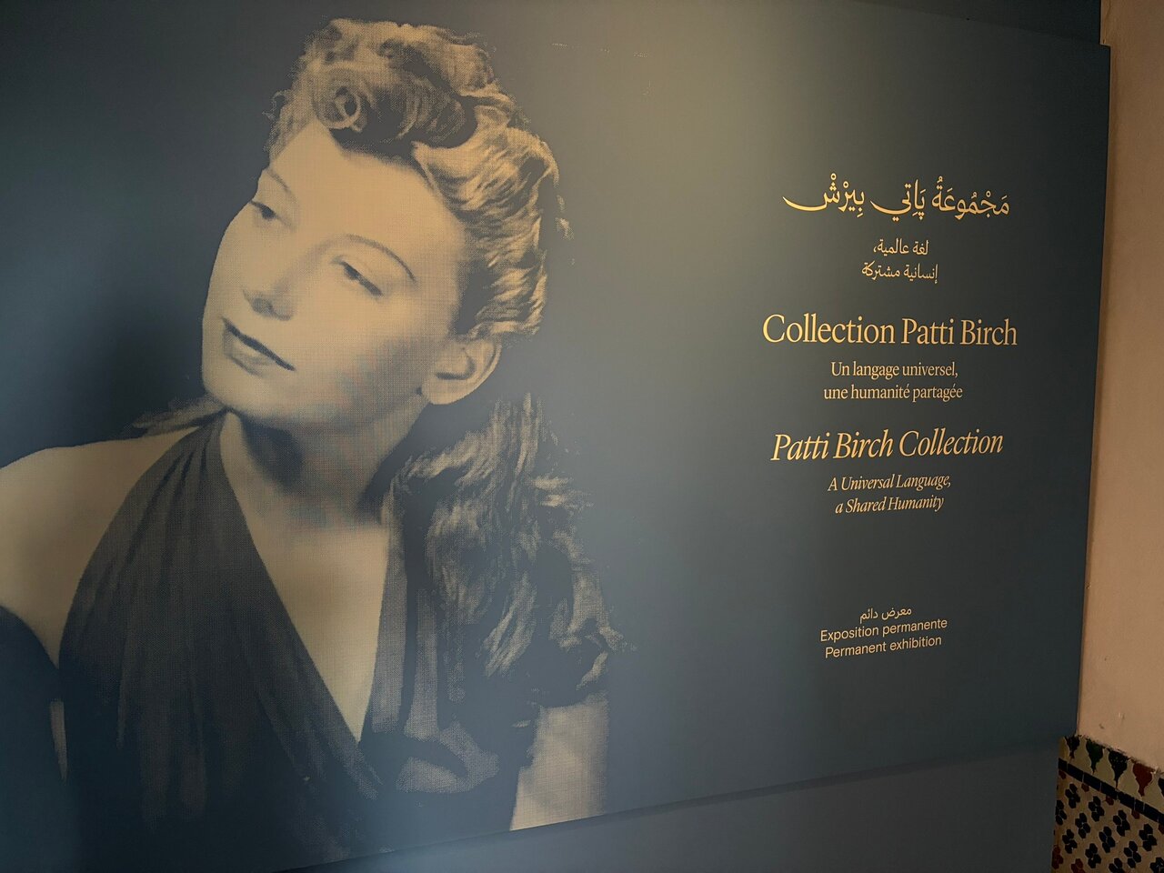 Dar El Bacha - Musee des Confluences photo 3
