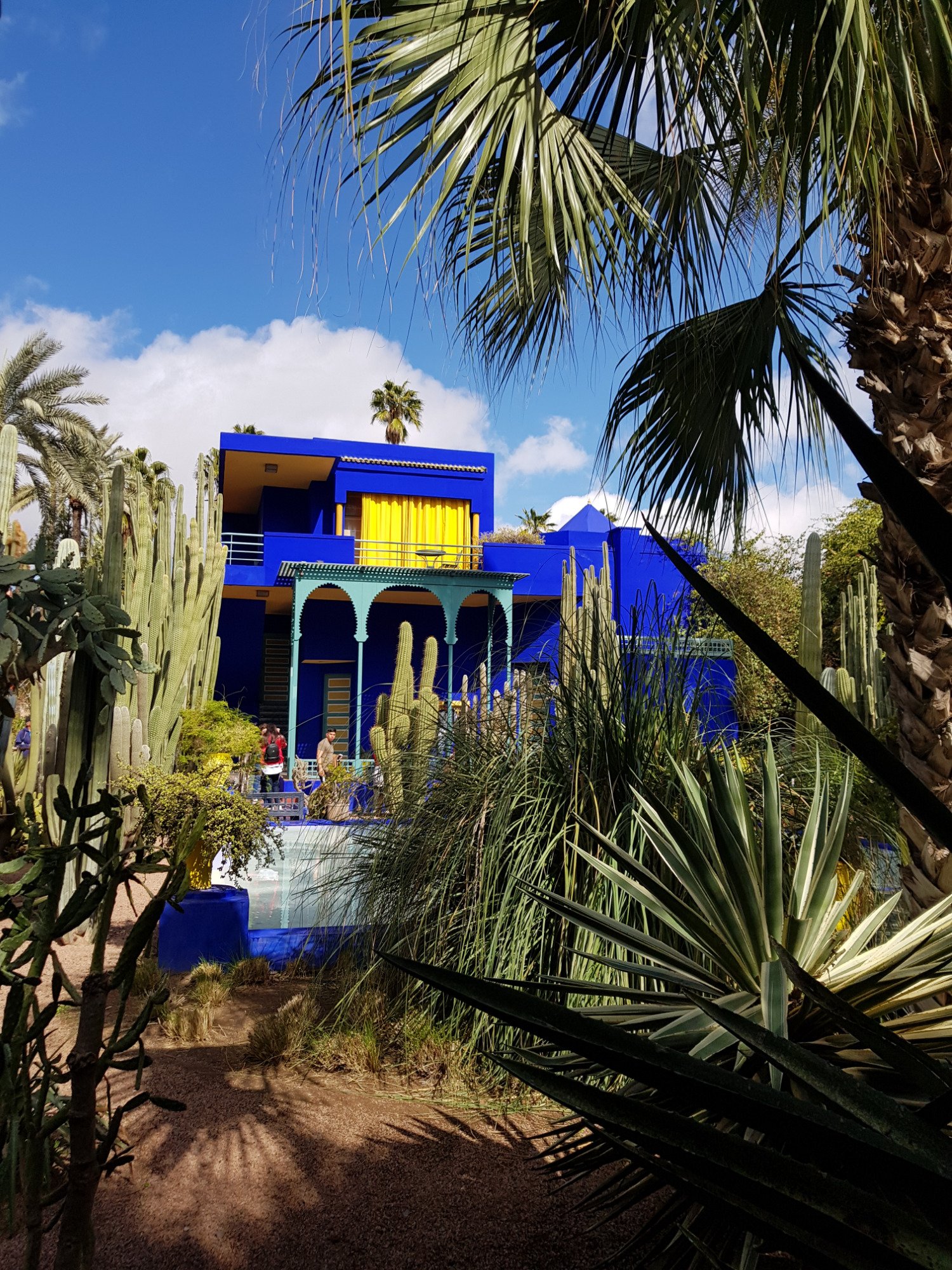 Musee Berbere Jardin Majorelle photo 2