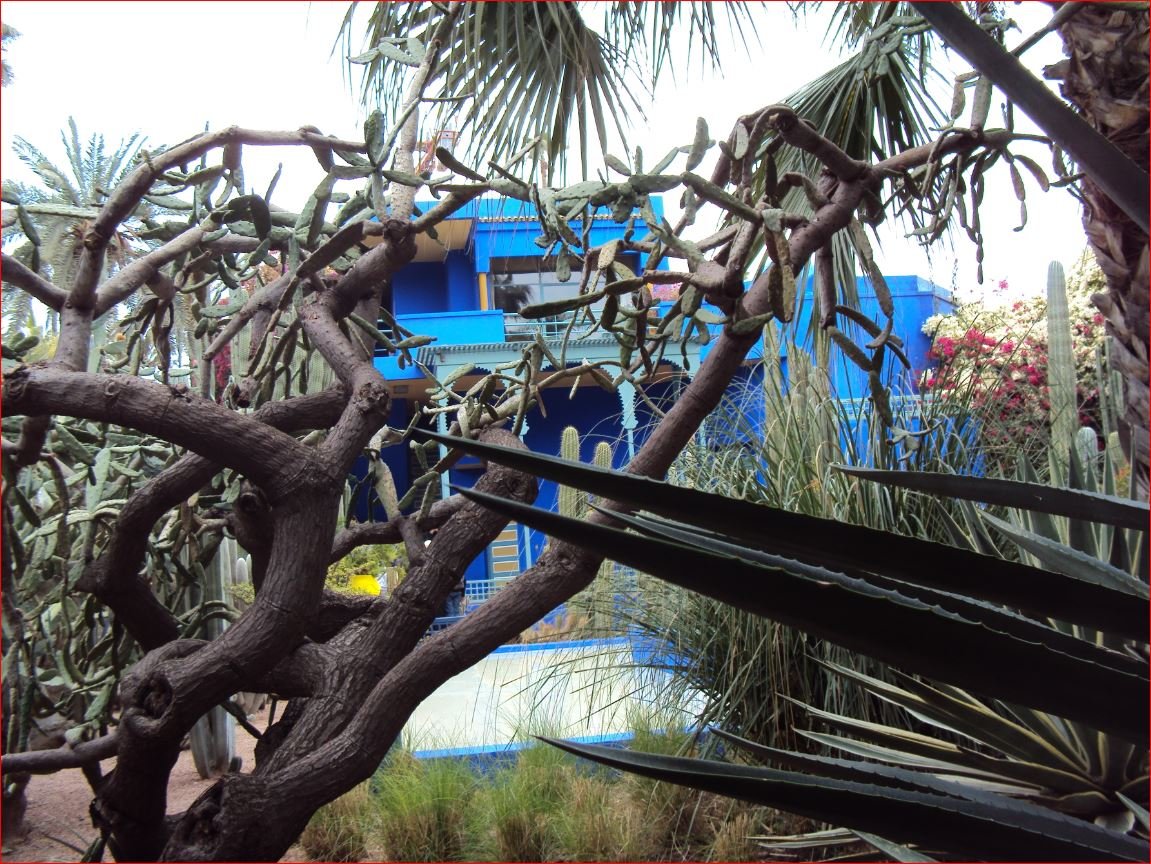 Musee Berbere Jardin Majorelle photo 3
