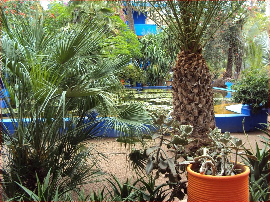 Musee Berbere Jardin Majorelle photo 4