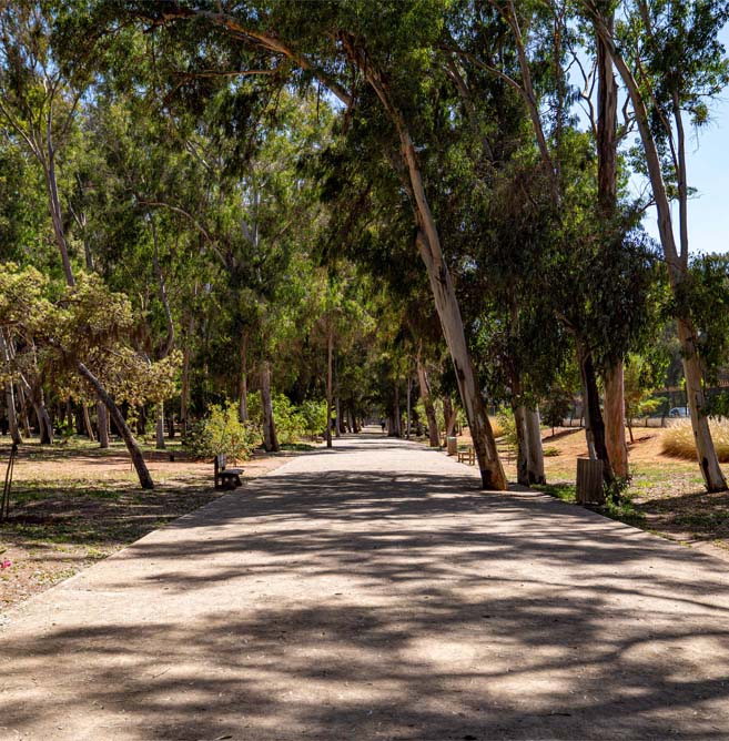 Ibn Sina Urban Forest