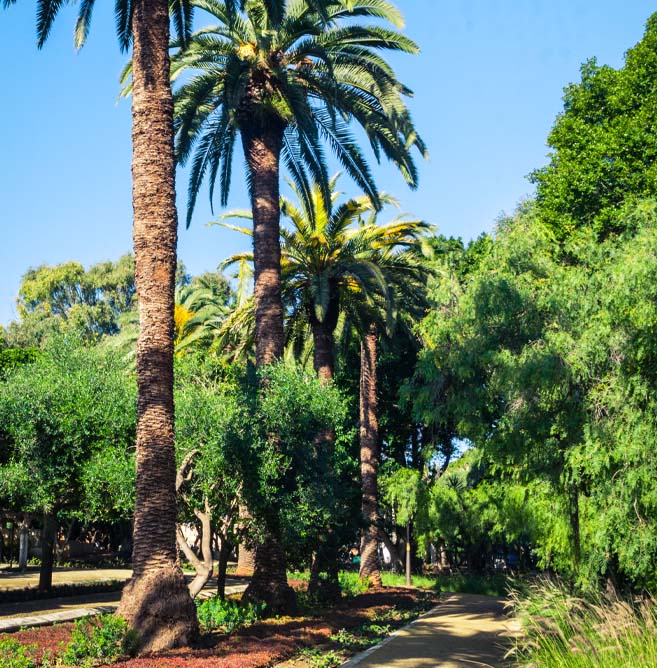 Nouzhat Hassan Garden